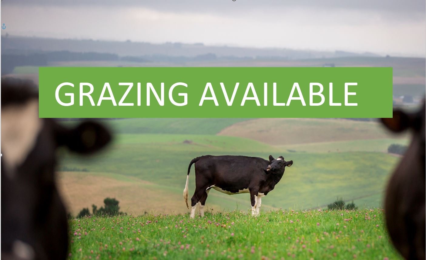 Grazing Available in Otago Southland, Central Otago is Irrigated